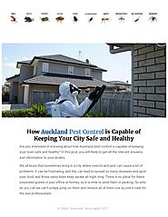 How to Find Best Pest Control Company In Auckland