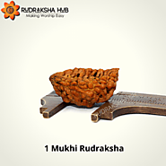 One Mukhi Rudraksha Benefits