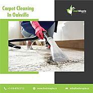 Carpet cleaning in Oakville