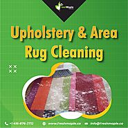 Upholstery and rug cleaning