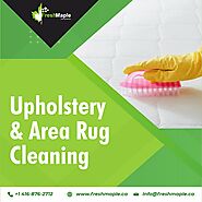 Upholstery & area rug Cleaning