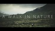 A Walk in Nature