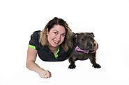 Best Dog Trainer in Sydney