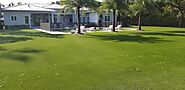 Pet Synthetic Grass Installation Tampa Bay | Fake Artificial Grass & Synthetic Turf Tampa