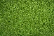 Website at https://turfgrasstampabay.com/artificial-grass-installation-citrus-park/