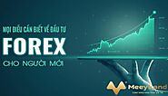 Đưa Đến Bạn Một Số Thông Tin Về Thị Trường Forex Hiện Nay