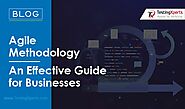 What is Agile Methodology | Guide for Agile Methodologies