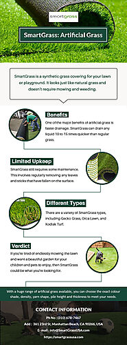 Best Artificial Grass Installation Services