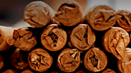 The Story Of Cuban Cigar