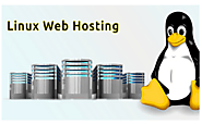Linux Web Hosting | Best Linux Web Server Provider | 24/7 support