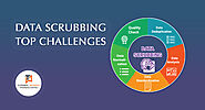 Top Challenges Interrupting Data Scrubbing