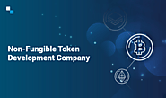 Website at https://www.antiersolutions.com/non-fungible-token-development/