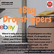 Dropshipping on eBay With Salefreaks