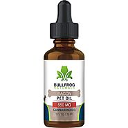 CBD Pet Products: Important things you should know