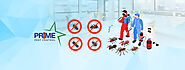 Why Prime is the best Pest Control in Kolkata??