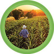 Pest Control Products | Non-Toxic Pest Control Product | Natural Pesticides - MDX Concepts