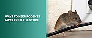 How to Keep Mice Out of the Store | Best Way to Keep Rodents Away — MDX Concepts