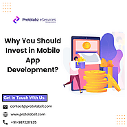 Clear and Unbiased Facts about Investing in Mobile App Development