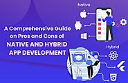 A Comprehensive Guide on Pros and Cons of Native and Hybrid App Development