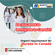 Canada Immigration Assessment Form