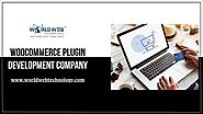 WooCommerce Plugin Development Company