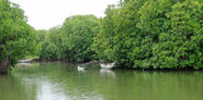 Negombo Lagoon River Cruise
