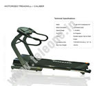 Caliber Motorized Treadmills | Deemark Motorized Treadmill | Fitness Treadmills Delhi | Fitness Equipment India