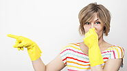 Odor Removal In Cape Coral; What Are The Other Professional Options?