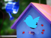 Tips for Using Twitter as a Realtor