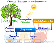 Environmental chemistry - Definition, Components, Ecosystem