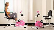 Sunny Health & Fitness Magnetic Recumbent Bike Exe, Pink P8400 Review