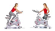 Sunny Health & Fitness SF-B1876 Indoor Cycling Exercise Bike Review