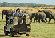 Safaris in Nature Reserves