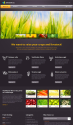 Agriculture Co. WordPress Template for Business Websites