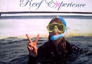 Reef experience