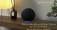 Alexa Is Offline Instant Fix 1-8007956963 Alexa Device Unresponsive
