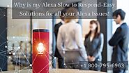 Alexa Slow to Respond/Having Trouble Understanding You? Call & Fix Now