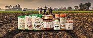 Authentic Organic Products Provider in India | Herbica Naturals