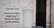 Fix Why Alexa Echo Dot Slow to Respond 1-8007956963 Alexa Not Working -Call Now