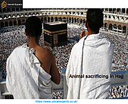 Animal sacrificing in Hajj