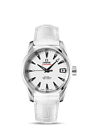 Replica Omega Seamaster de la aguamarina Hombres Terra reloj 231.13.39.21.54.001