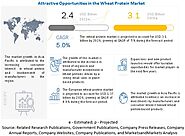 Wheat Protein Market Industry Growth, Trends, and Forecasts | COVID-19 Impact Analysis