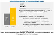 Upcoming Growth Trends in the Animal Disinfectants Market