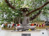 Explore the Giant Buddha Temple and the Shri Pushparama Temple