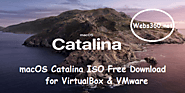 macOS Catalina ISO Free Download for VirtualBox & VMware - Webs360