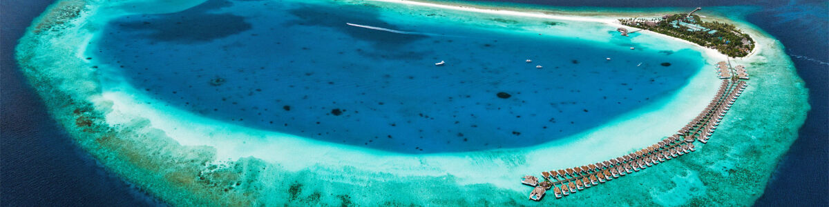 Headline for List of Marine Wildlife in Baa Atoll – A World Beneath the Waves