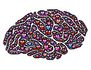 21 top brain blogs to inform and inspire you - Dr Sarah McKay