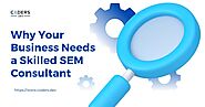 Grow Your Business Fast: Why You Need a Skilled SEM Consultant