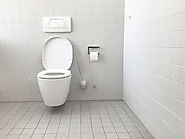 Best toilet cleaning products to prevent cross-contamination - Veridia