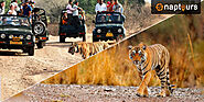Best Tourist Places To Visit Sariska Tiger Reserve